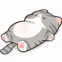 Cat lover